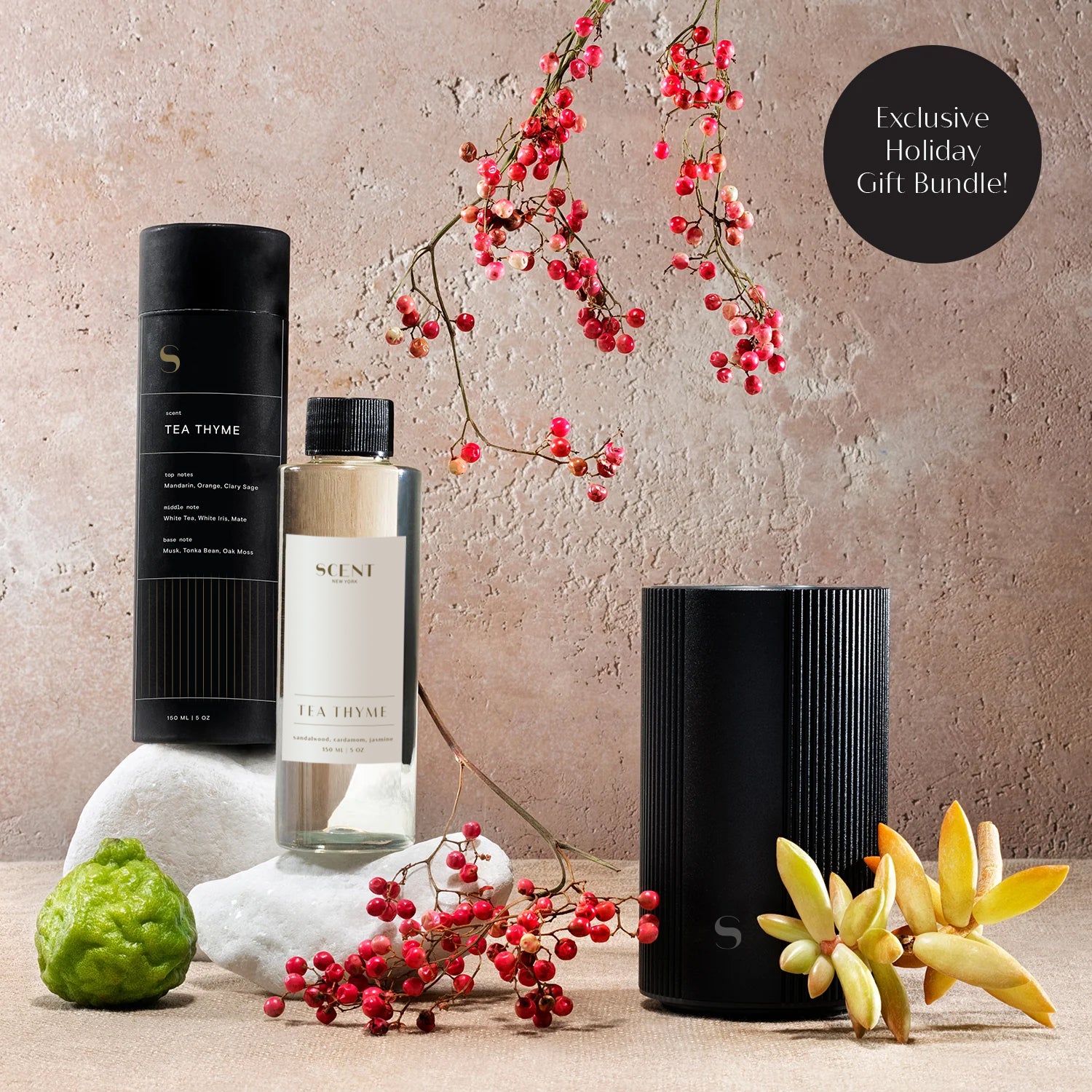 Holiday Gift Exclusive! Anywhere Diffuser + Premium Aroma Oil Bundle ...