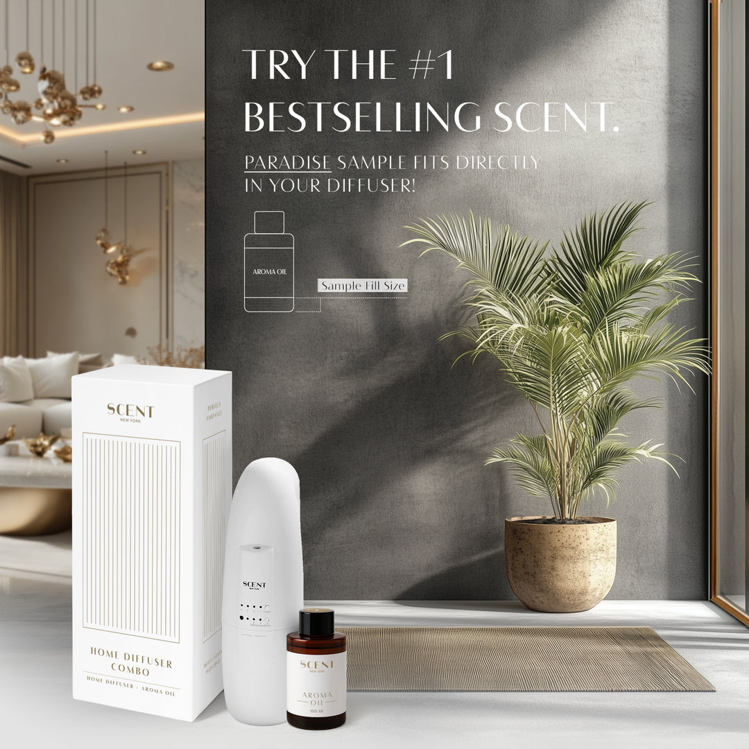 Home Diffuser Starter Kit