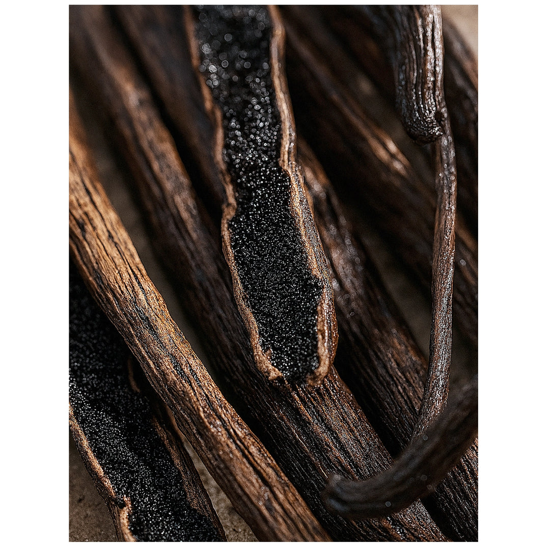 Vanilla Bean